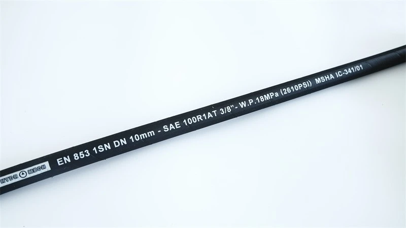 Flexible Hose Pipe